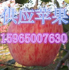 莒縣傲翔農(nóng)副產(chǎn)品購銷處 優(yōu)質(zhì)食品銷售的卓越典范