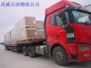 武威洋蔥大量上市，誠邀全國客商共拓商機